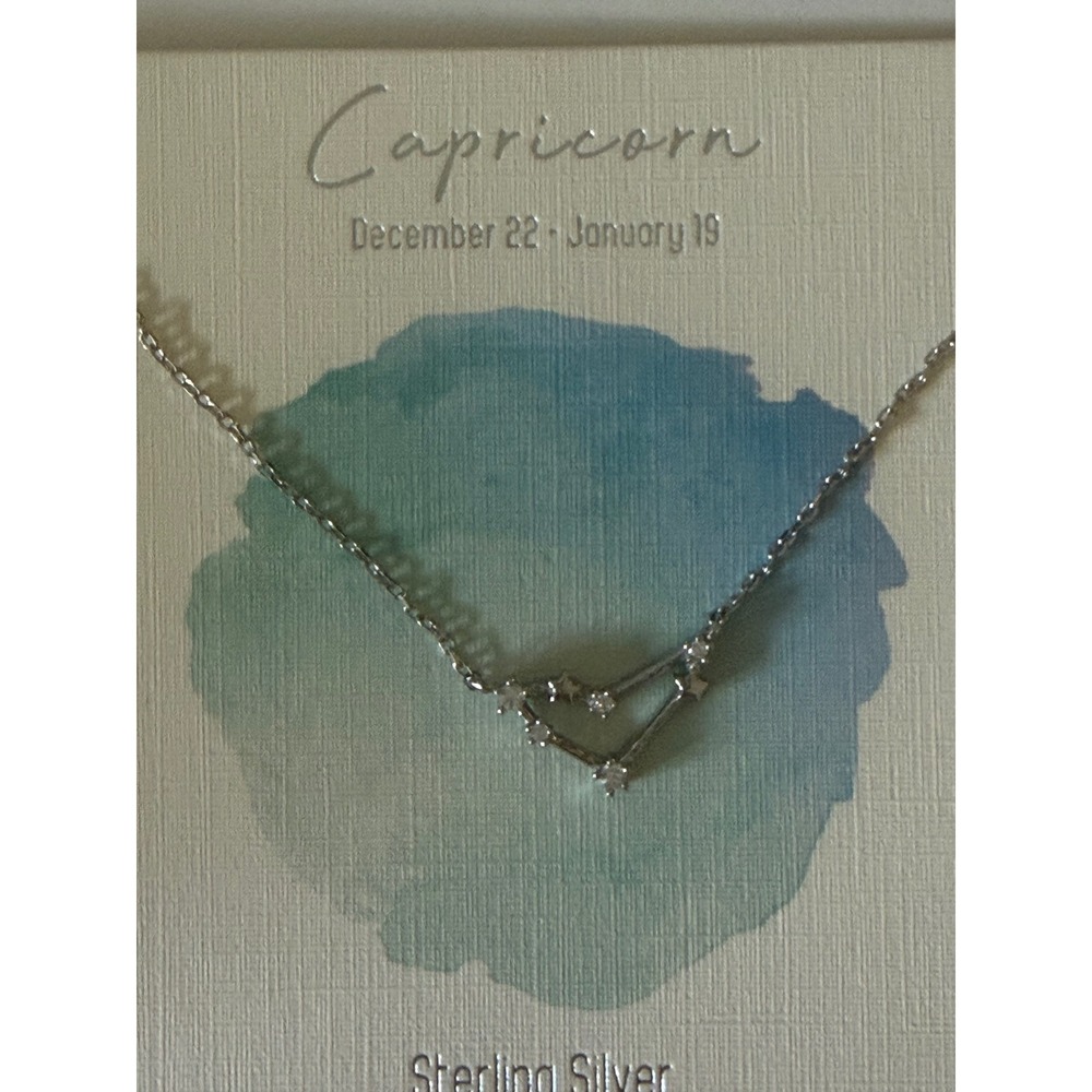 Francesca's Sterling‎ Silver Capricorn Zodiac Constellation Necklace Silver NEW